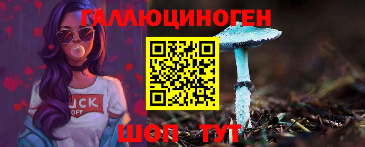 Медногорск  Псилоцибиновые грибы прущие грибы  Вход с VPN 